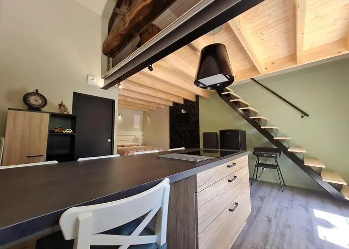 Cosy Avec Mezzanine, Cour Privative Et Espace à - Fr-1-426-478